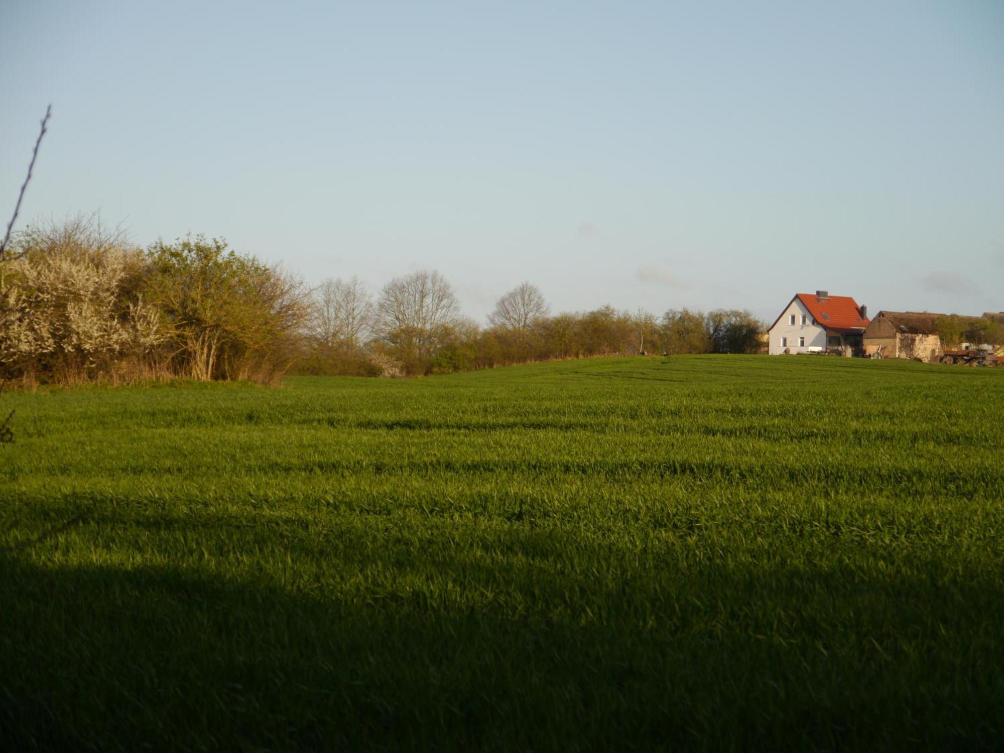 Ferienhaus-Uckermarkblick Rosenow  Ngoại thất bức ảnh